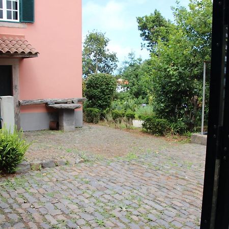 Casa Da Tia Clementina Villa Santana  Dış mekan fotoğraf
